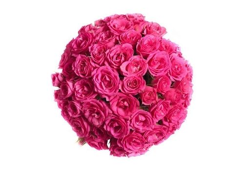 Букет из розовых роз 35шт